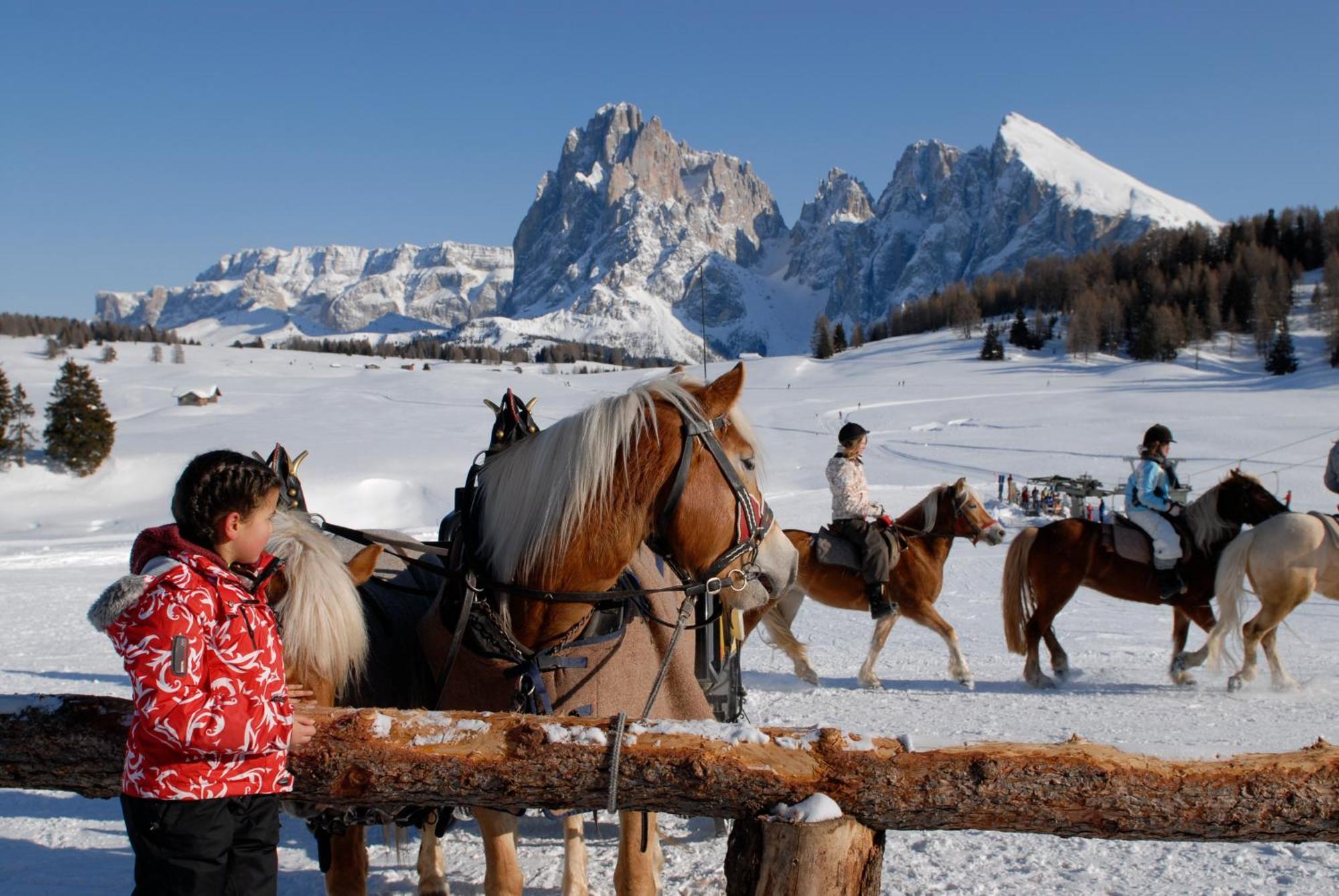 Dolomites Living Hotel Tirler Alpe Di Siusi Dış mekan fotoğraf